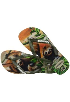 Havaianas Flip Flop Ipe - Teenslippers - Green -Havaianas Verkoopwinkel 5200cf8ba9e94032bce705821f6d518d
