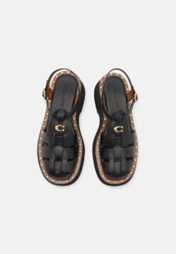 Coach Vivienne - Sandalen Met Plateauzool - Black 11 Coach Vivienne - Sandalen Met Plateauzool - Black -Havaianas Verkoopwinkel 78cd78c0116f4aefa2c4cfc94525015b