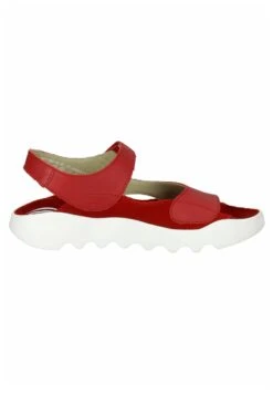 Sandalen - Cherry Red -Havaianas Verkoopwinkel ae33d4f426db49b0ab136ef63df79bce